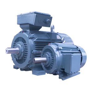 Crane Motor