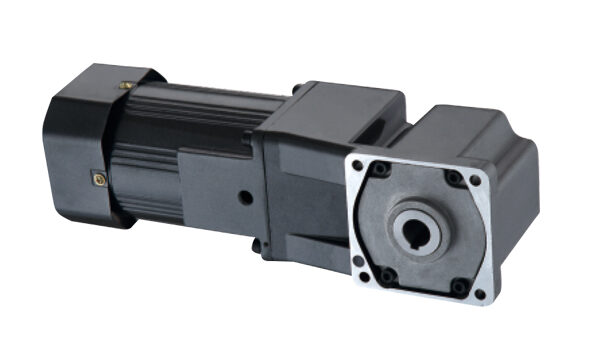 small motor e1744448478633